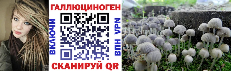 Псилоцибиновые грибы Cubensis  маркетплейс клад  Ессентуки 