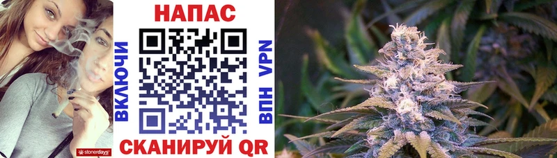 Канабис гибрид  где купить наркотик  Ессентуки 
